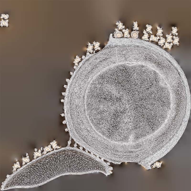 Leather Chain Hat Low-poly 3D model_14