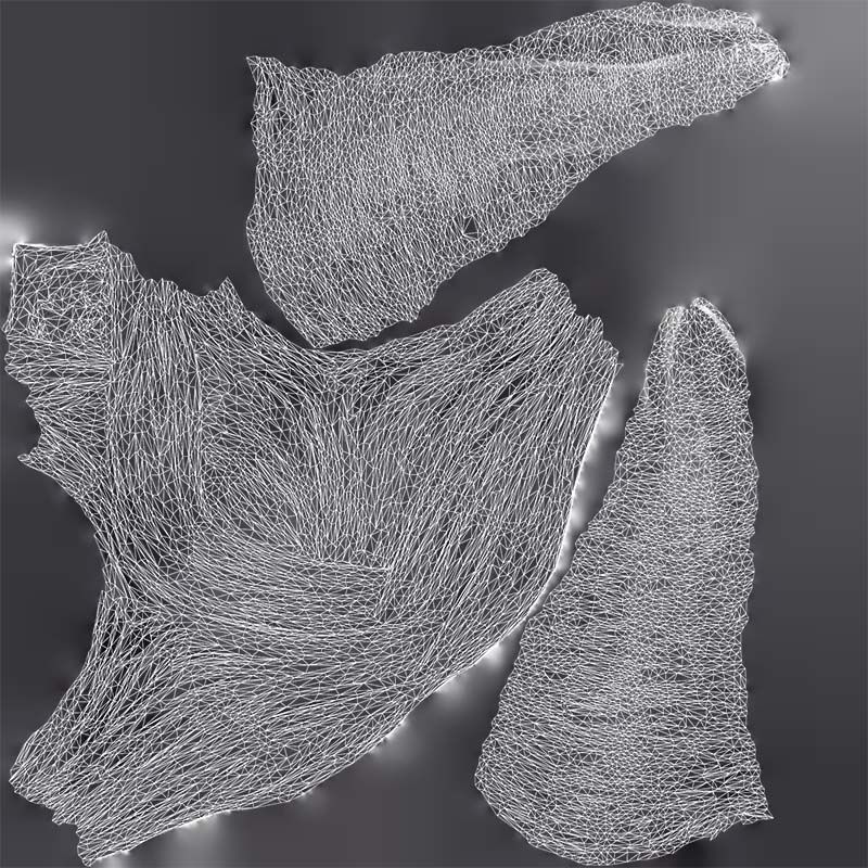 Maleficent Low-poly 3D model_14