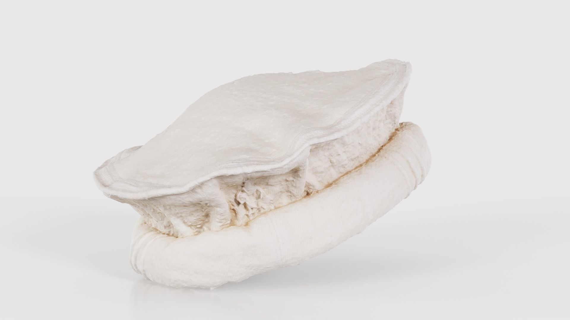 Oister Hat Low-poly 3D model_19