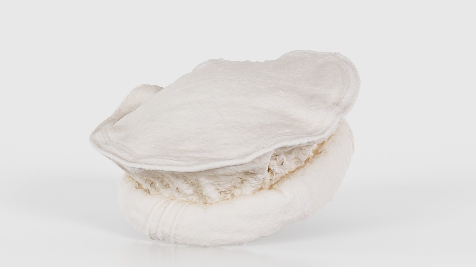 Oister Hat Low-poly 3D model_20