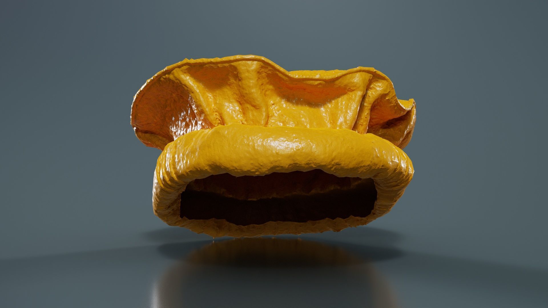 Oister Hat Low-poly 3D model_12