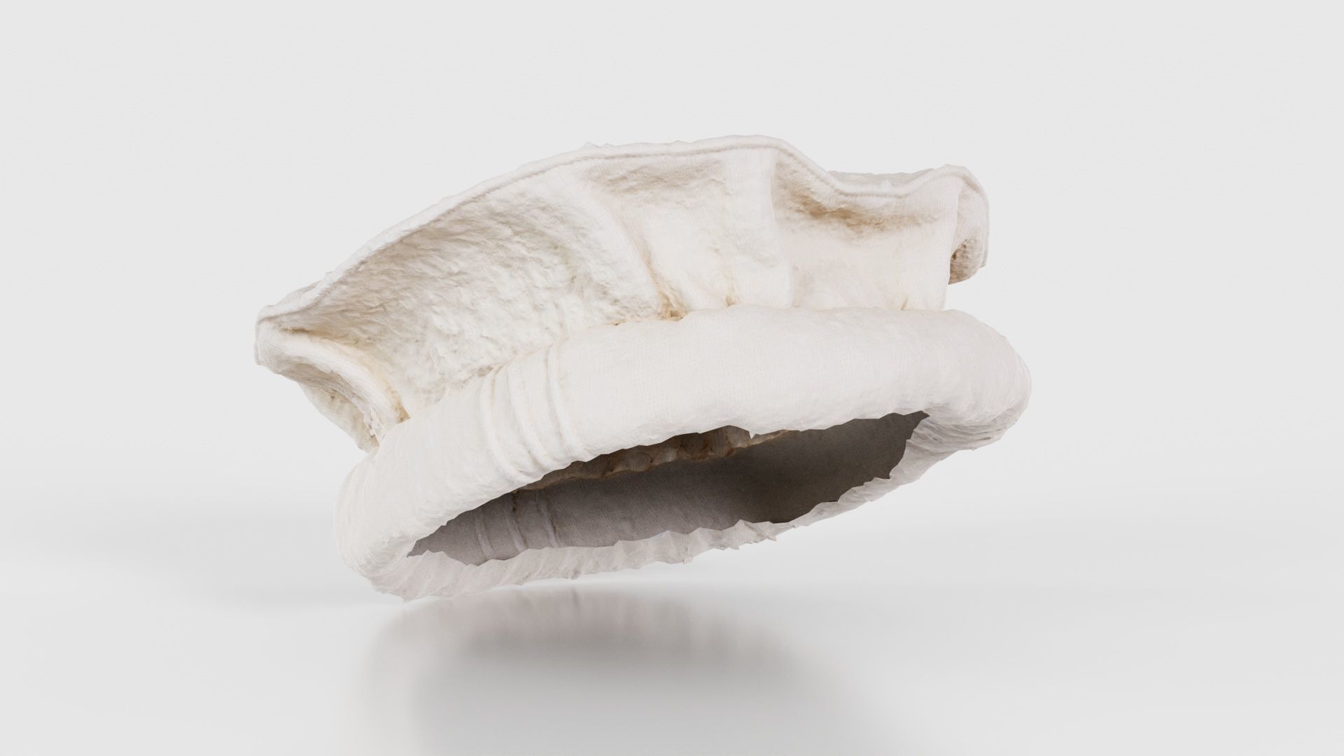 Oister Hat Low-poly 3D model_16