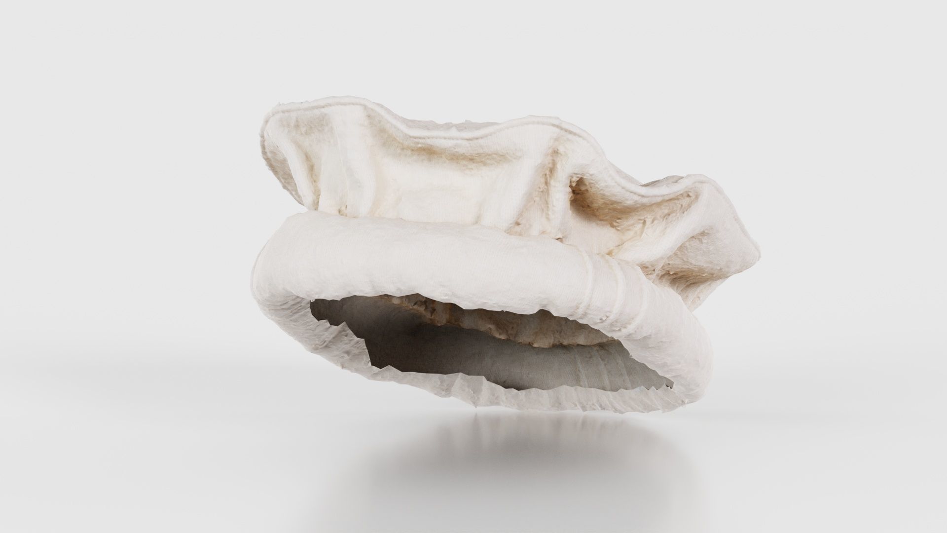 Oister Hat Low-poly 3D model_26