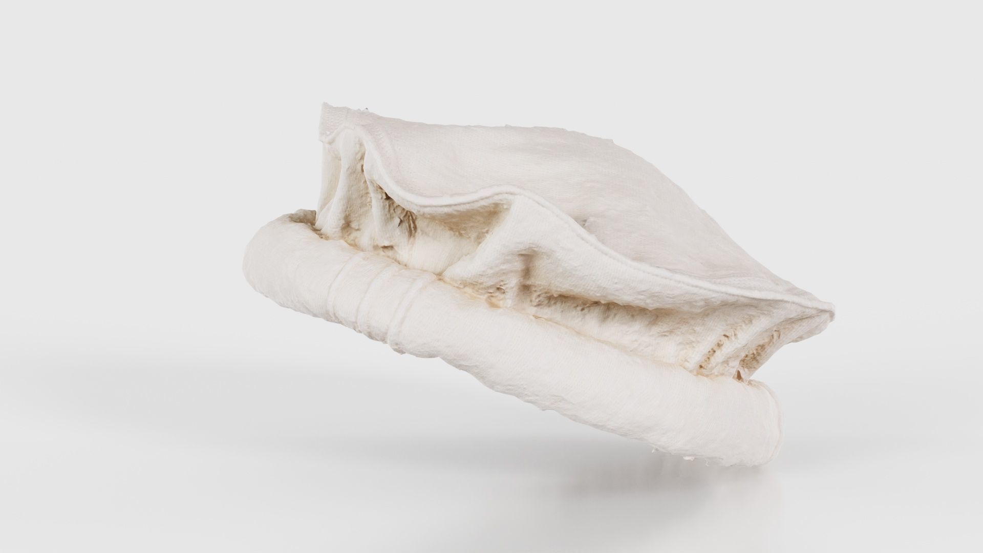 Oister Hat Low-poly 3D model_24