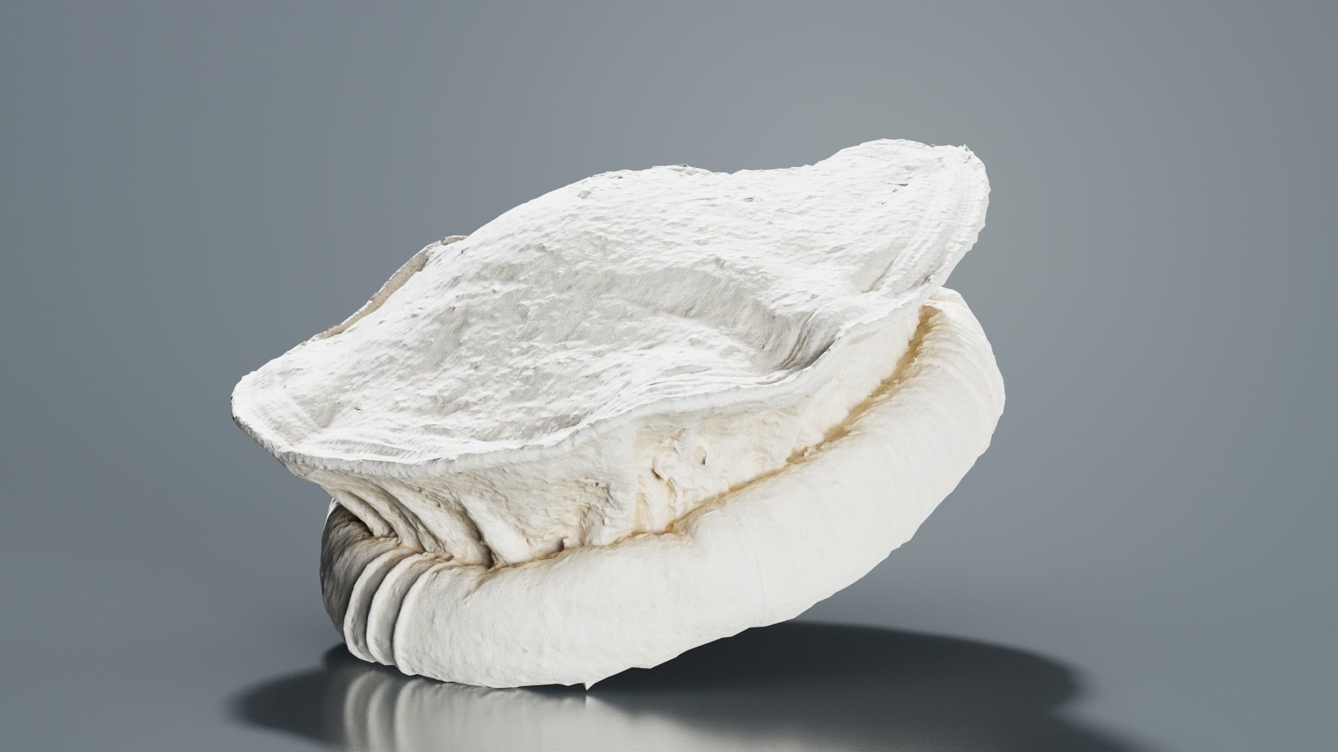 Oister Hat Low-poly 3D model_3