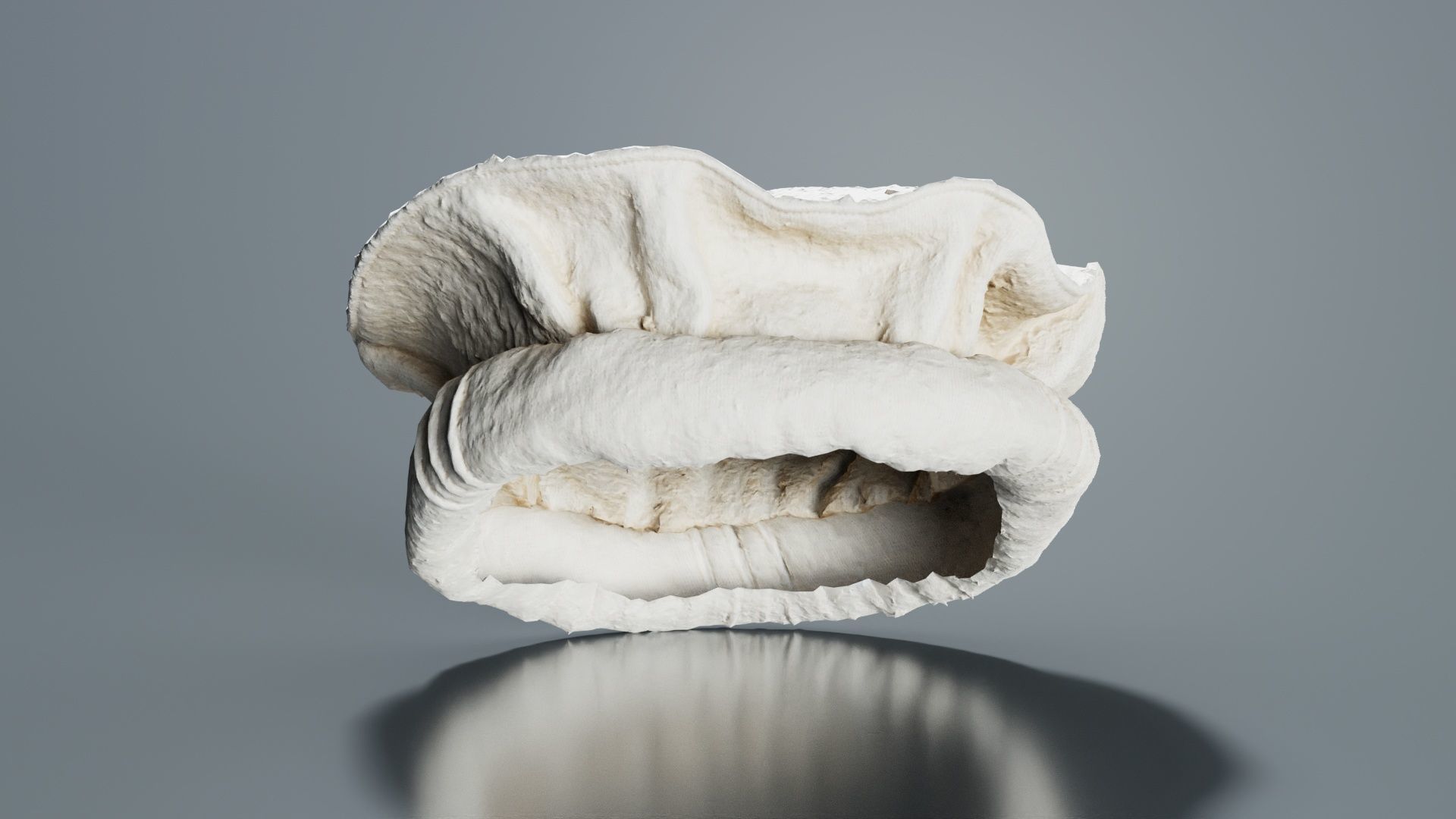 Oister Hat Low-poly 3D model_1