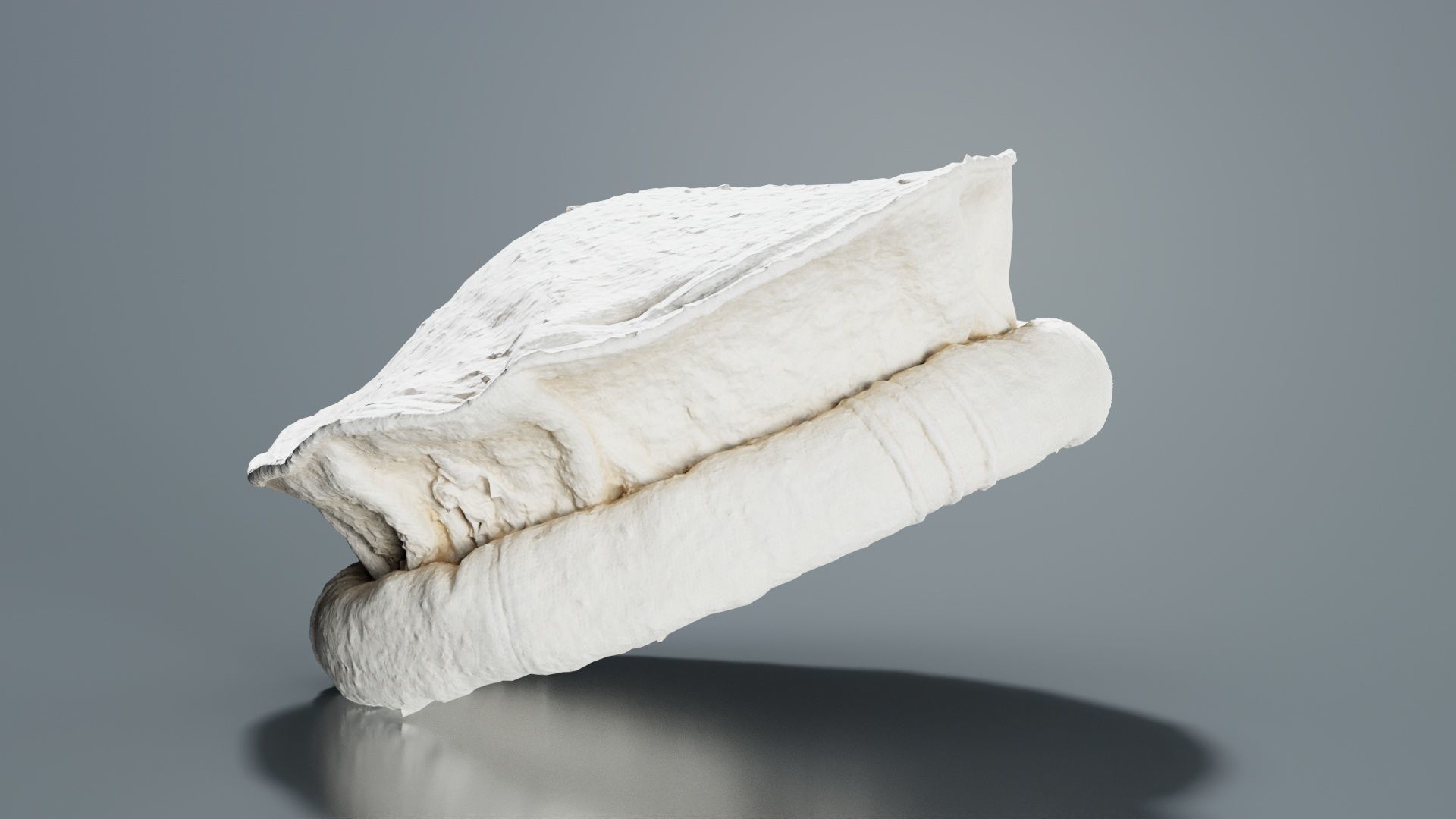 Oister Hat Low-poly 3D model_5