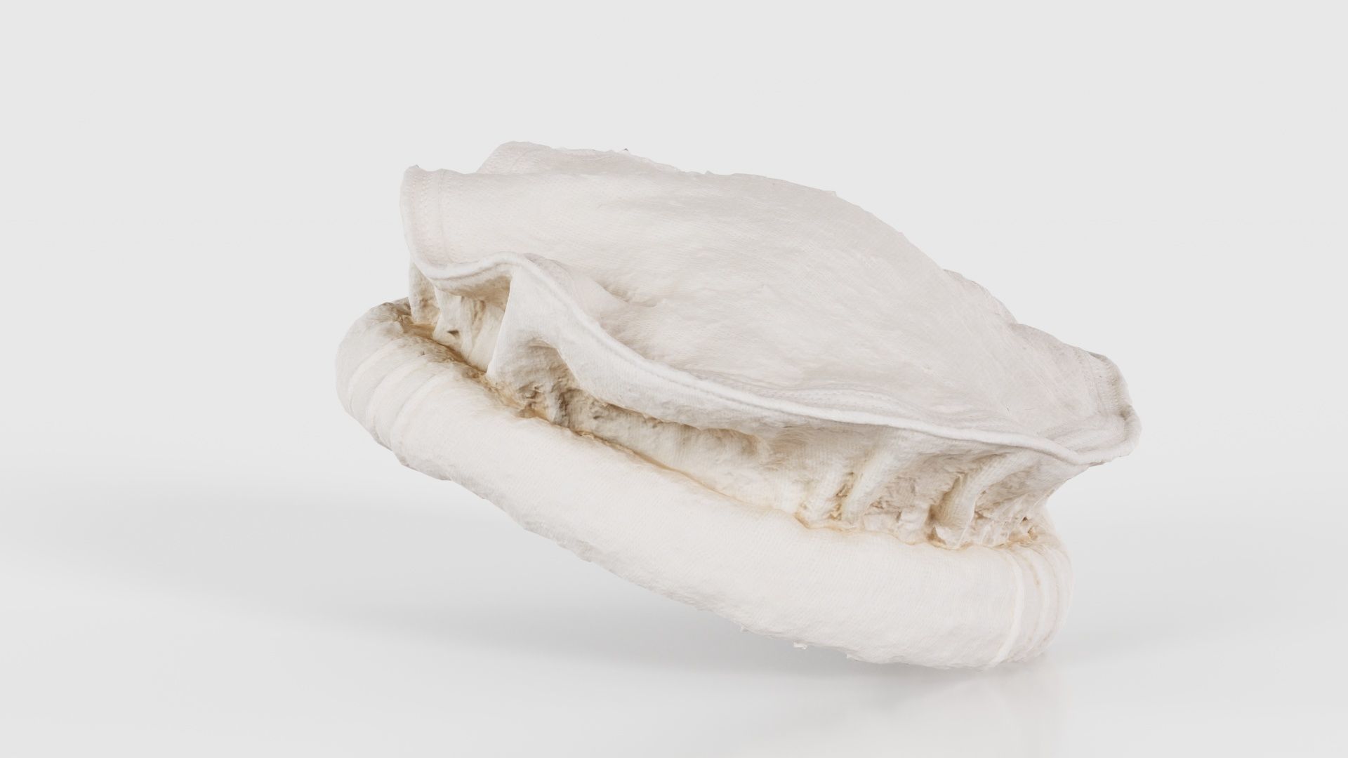 Oister Hat Low-poly 3D model_23