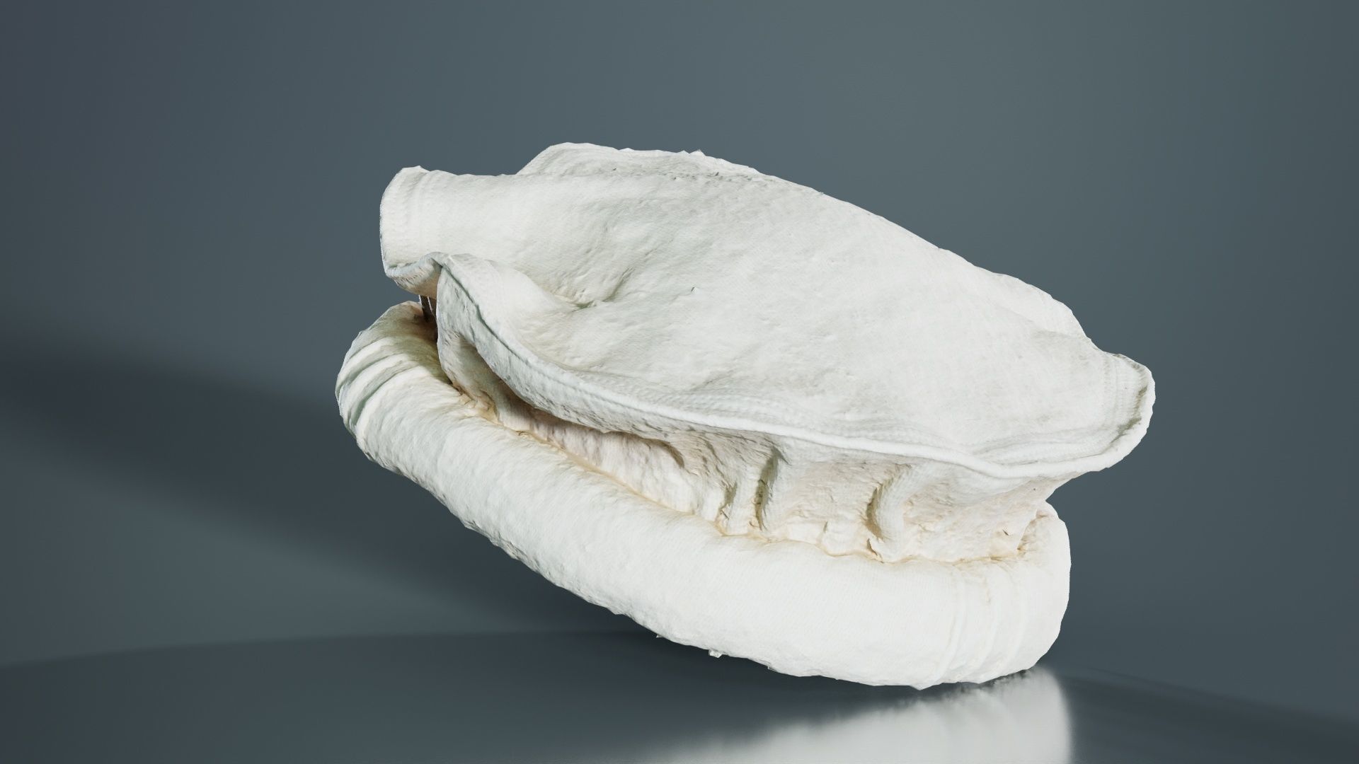 Oister Hat Low-poly 3D model_8