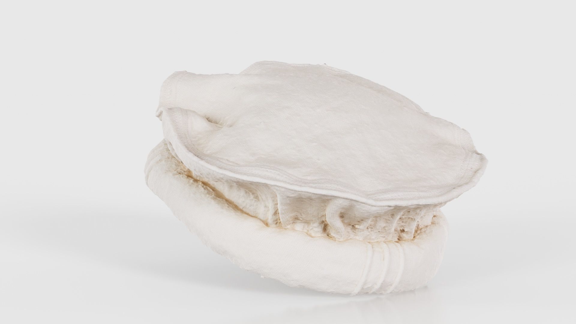 Oister Hat Low-poly 3D model_22