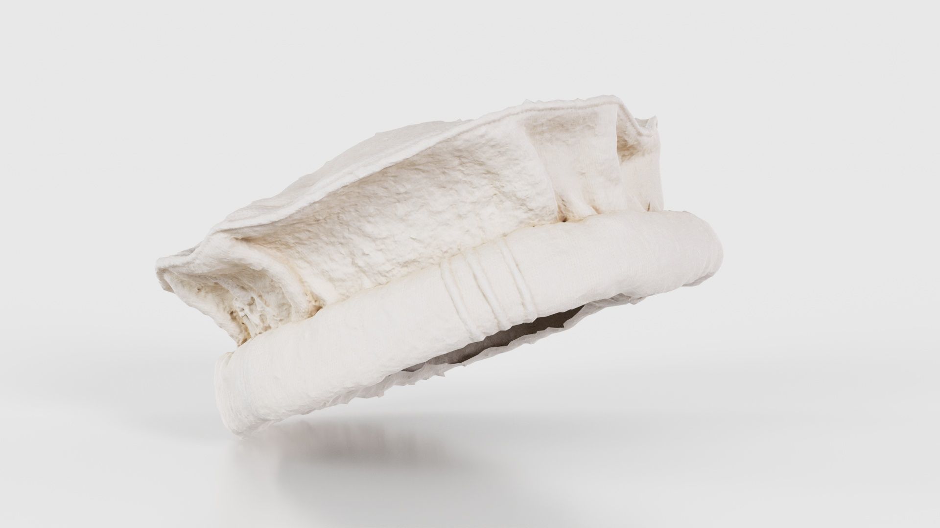 Oister Hat Low-poly 3D model_17