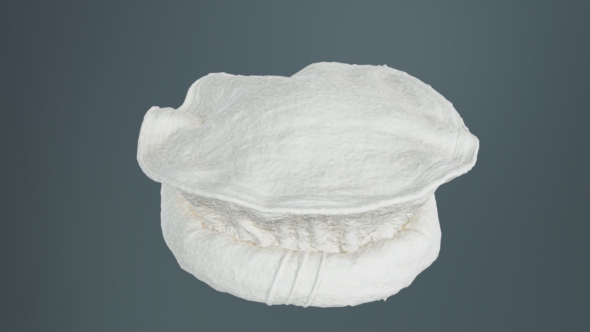 Oister Hat Low-poly 3D model_10