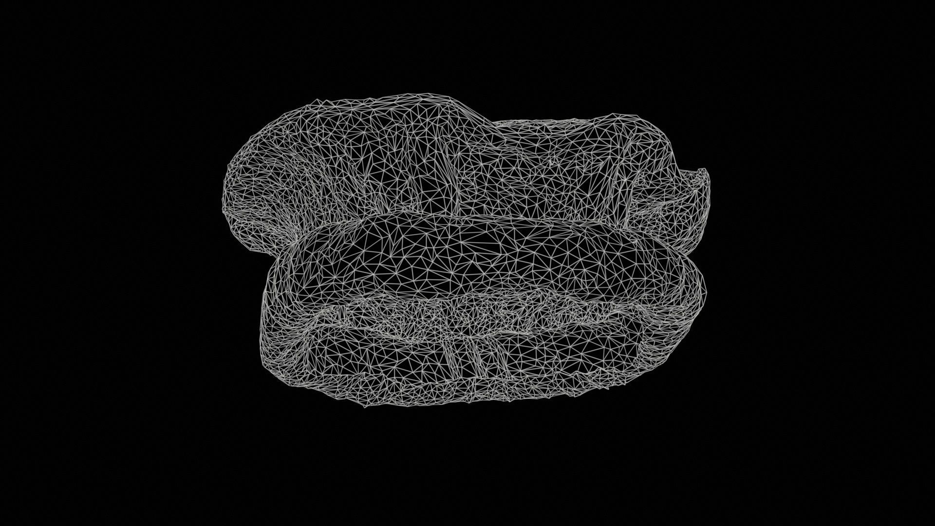 Oister Hat Low-poly 3D model_11