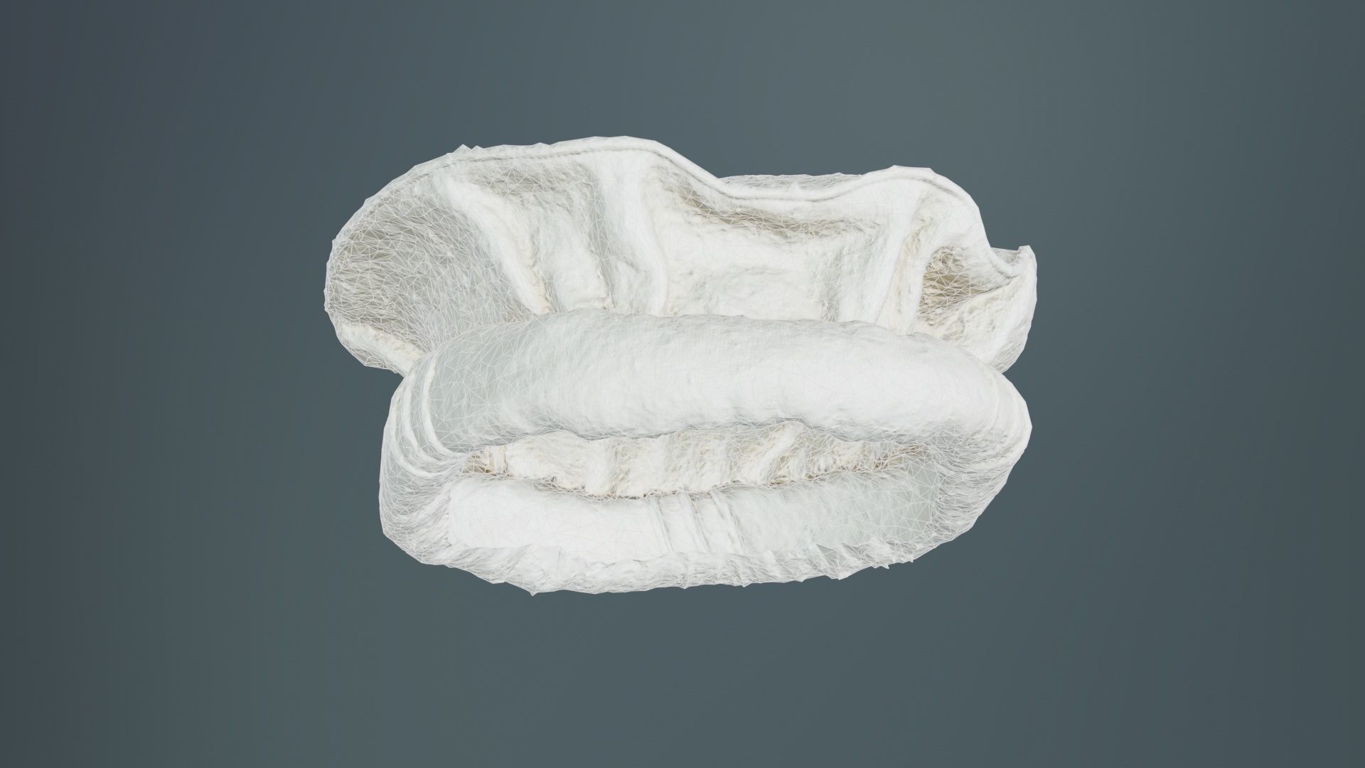 Oister Hat Low-poly 3D model_9