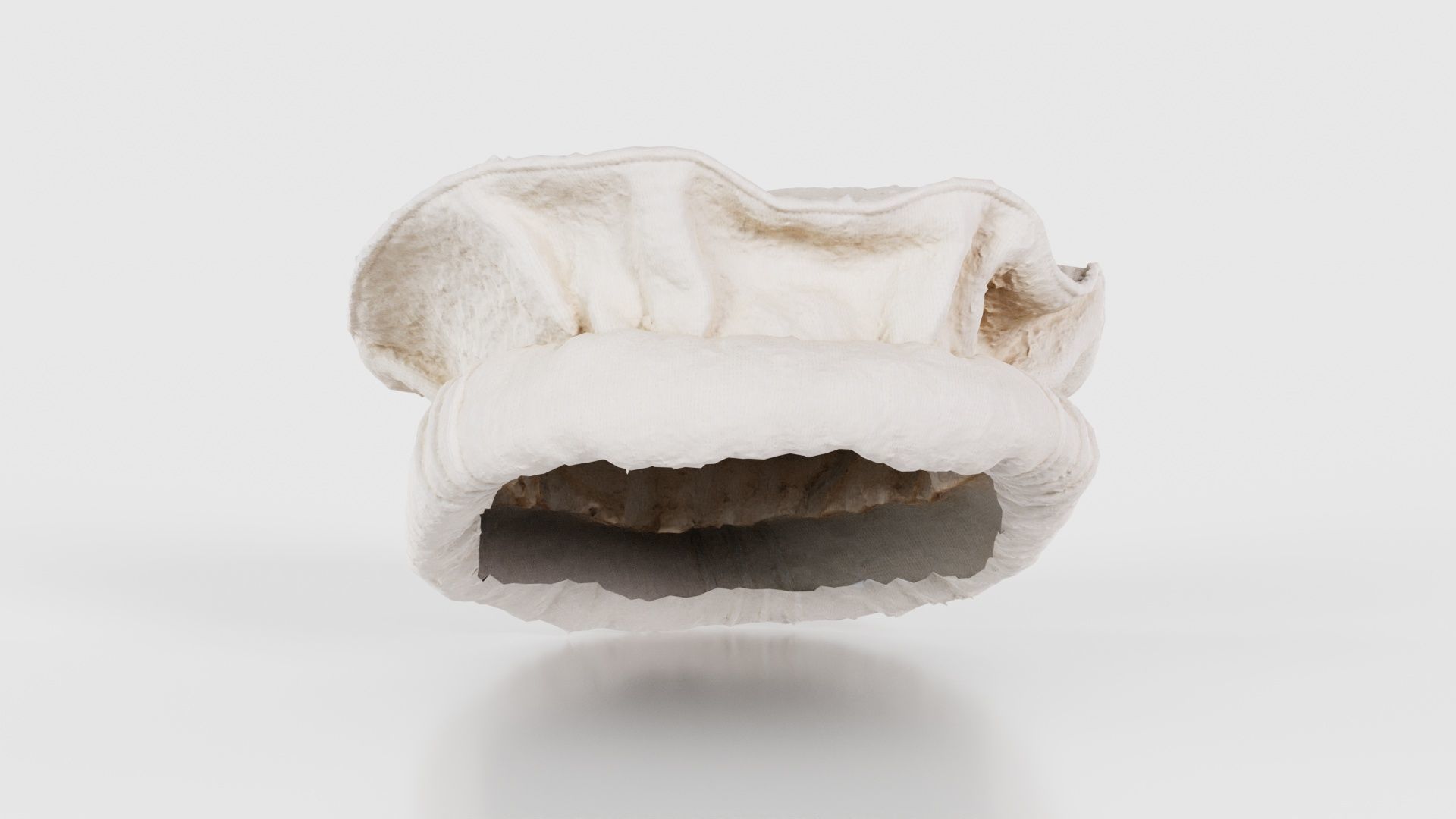 Oister Hat Low-poly 3D model_15