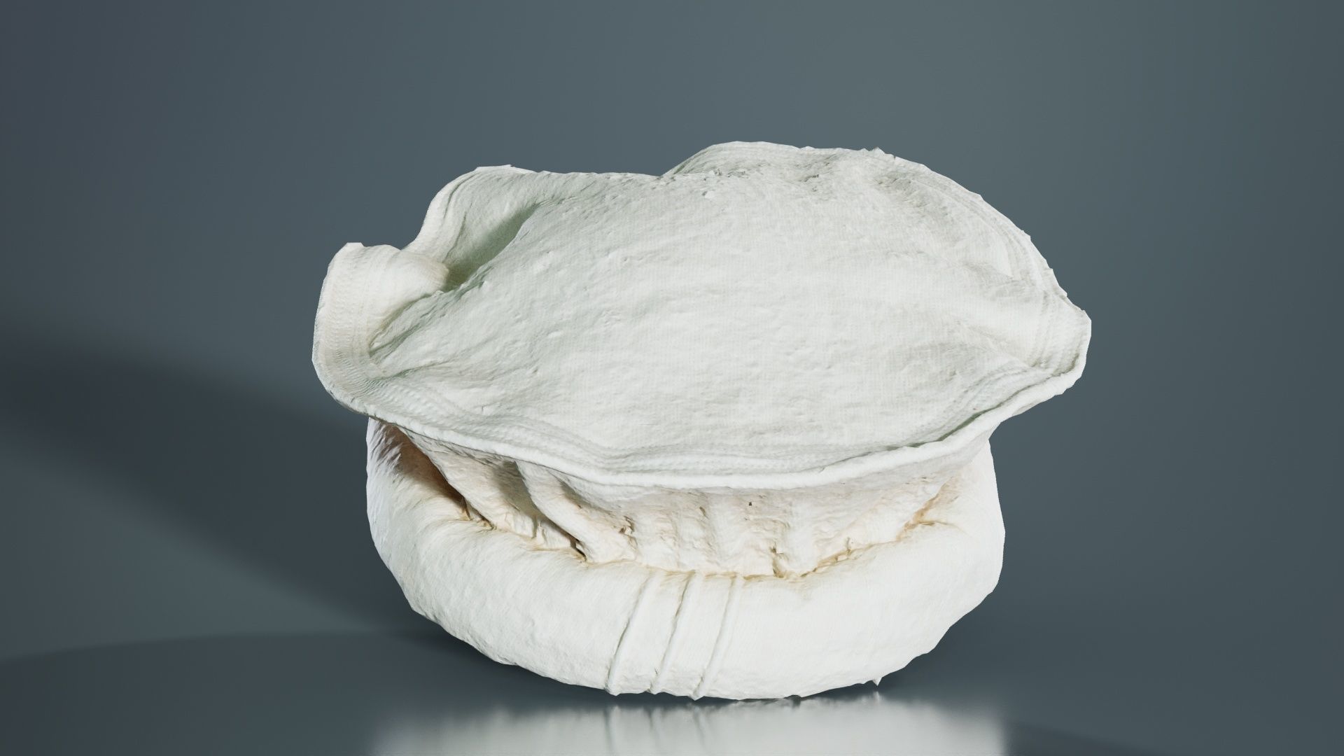 Oister Hat Low-poly 3D model_7