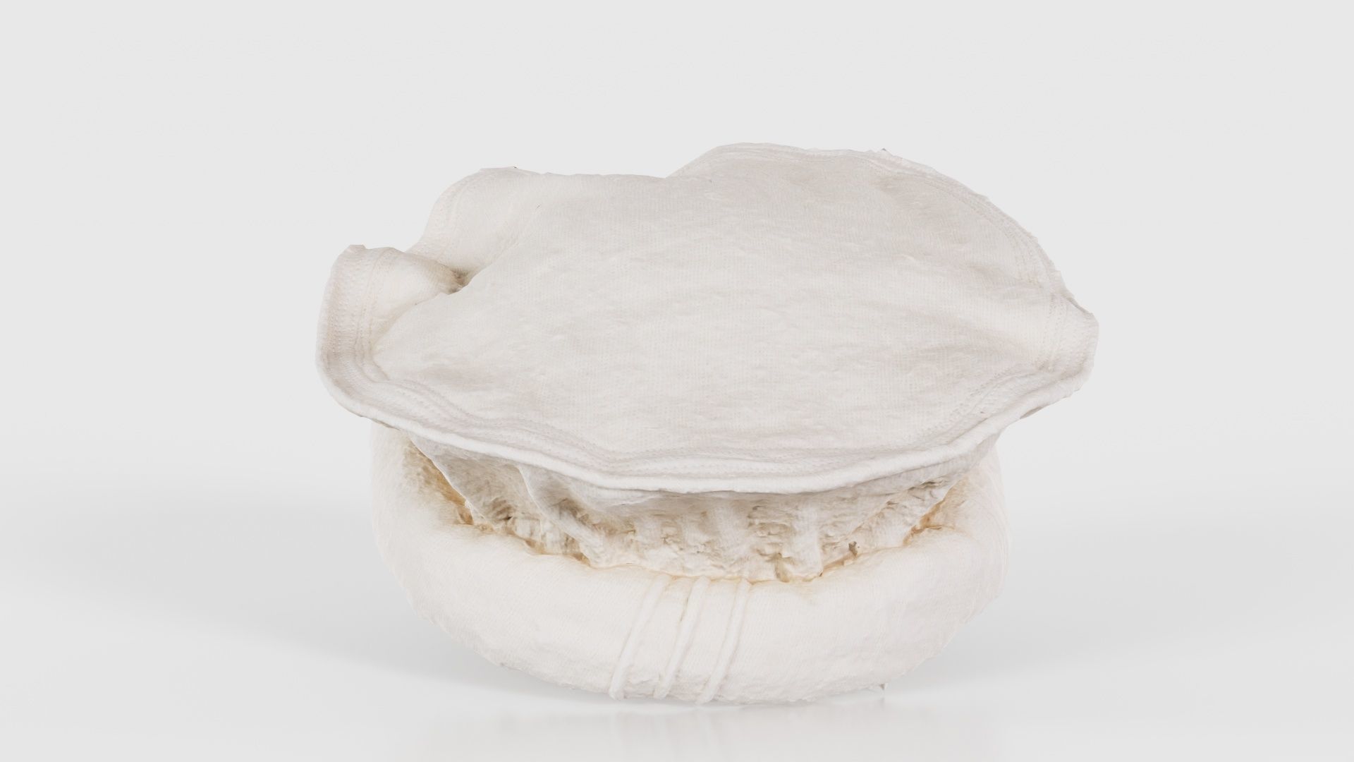 Oister Hat Low-poly 3D model_21