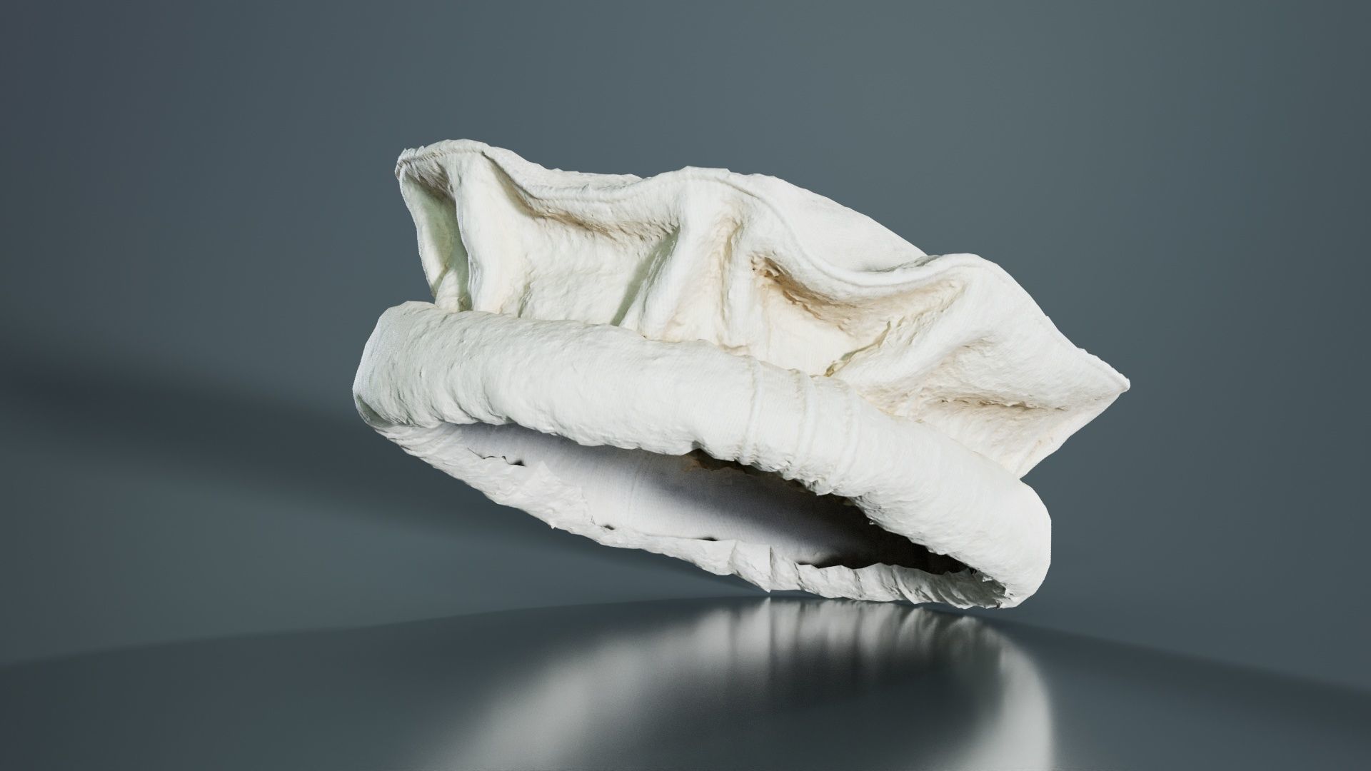 Oister Hat Low-poly 3D model_4