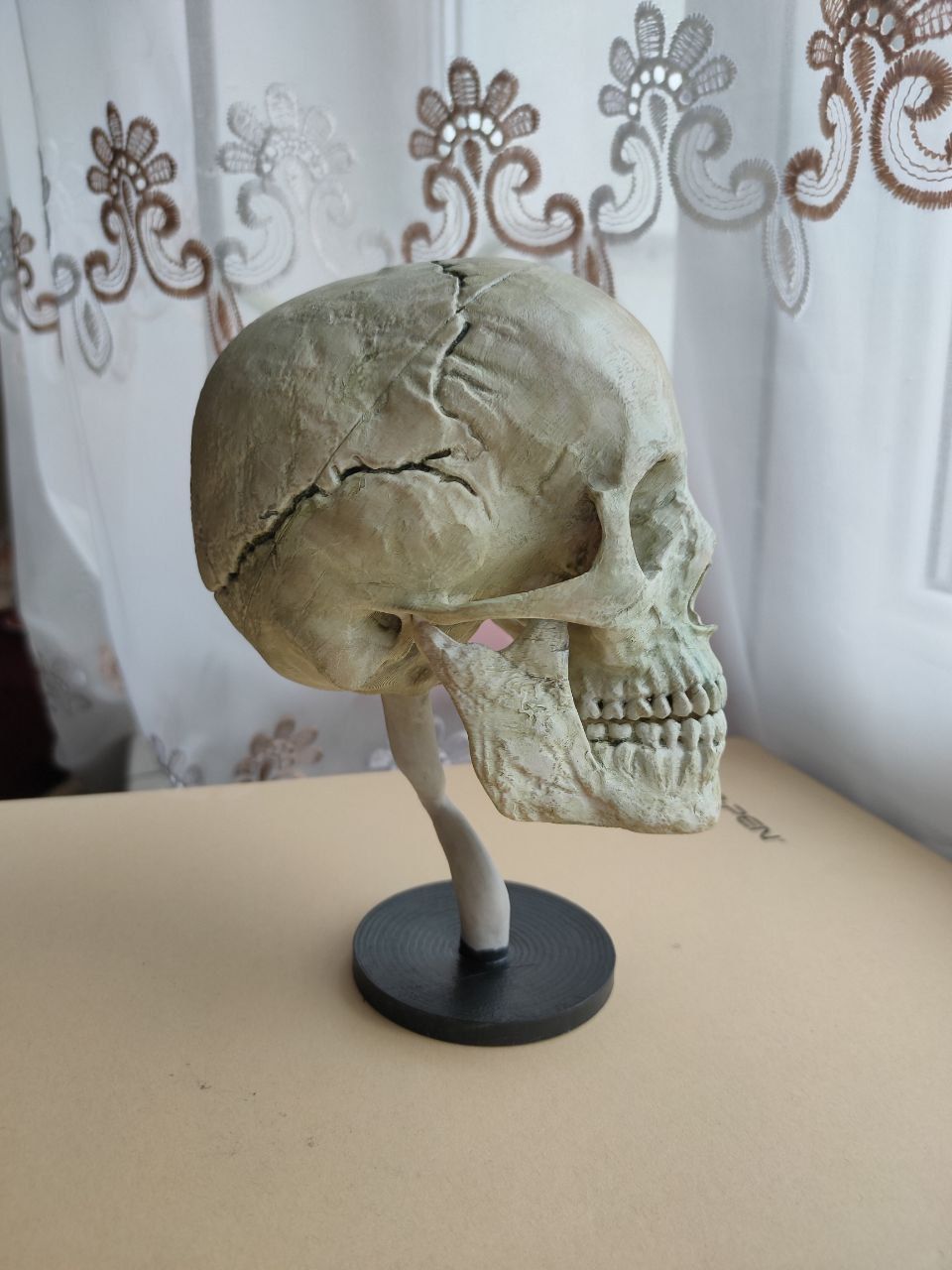 Scull 3D model_1