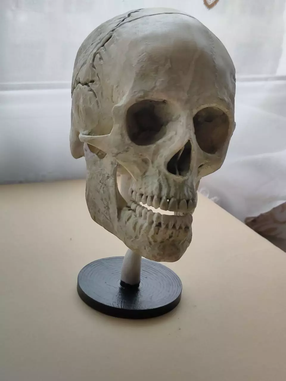 Scull 3D model_0
