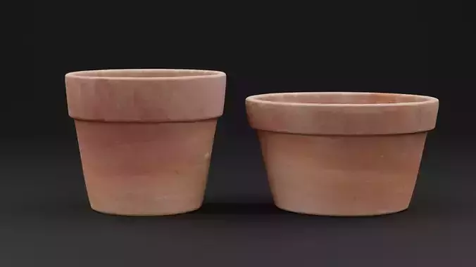 Flower Pot
