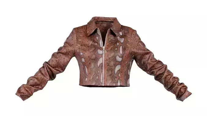 Brown Snake Jacket Low-poly 3D model
