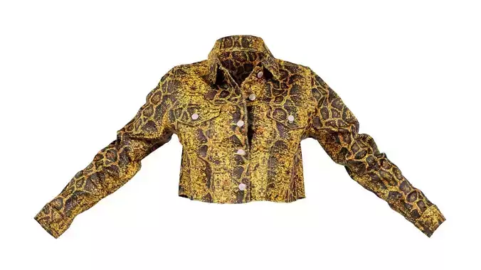 Crocodile Jacket Low-poly 3D model