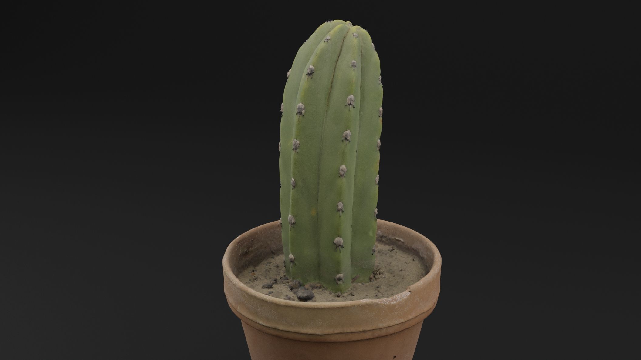 Cactus Pot 3D model_1