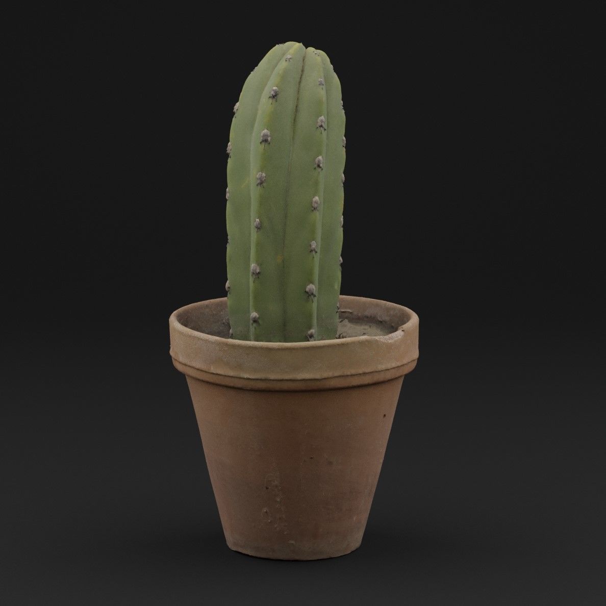 Cactus Pot 3D model_5