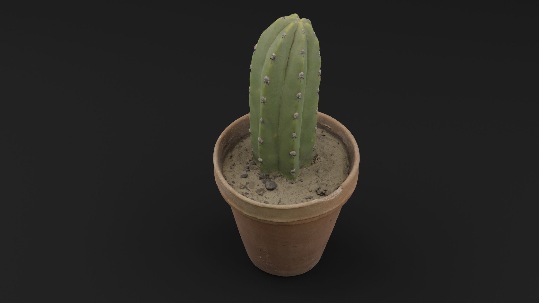 Cactus Pot 3D model_4