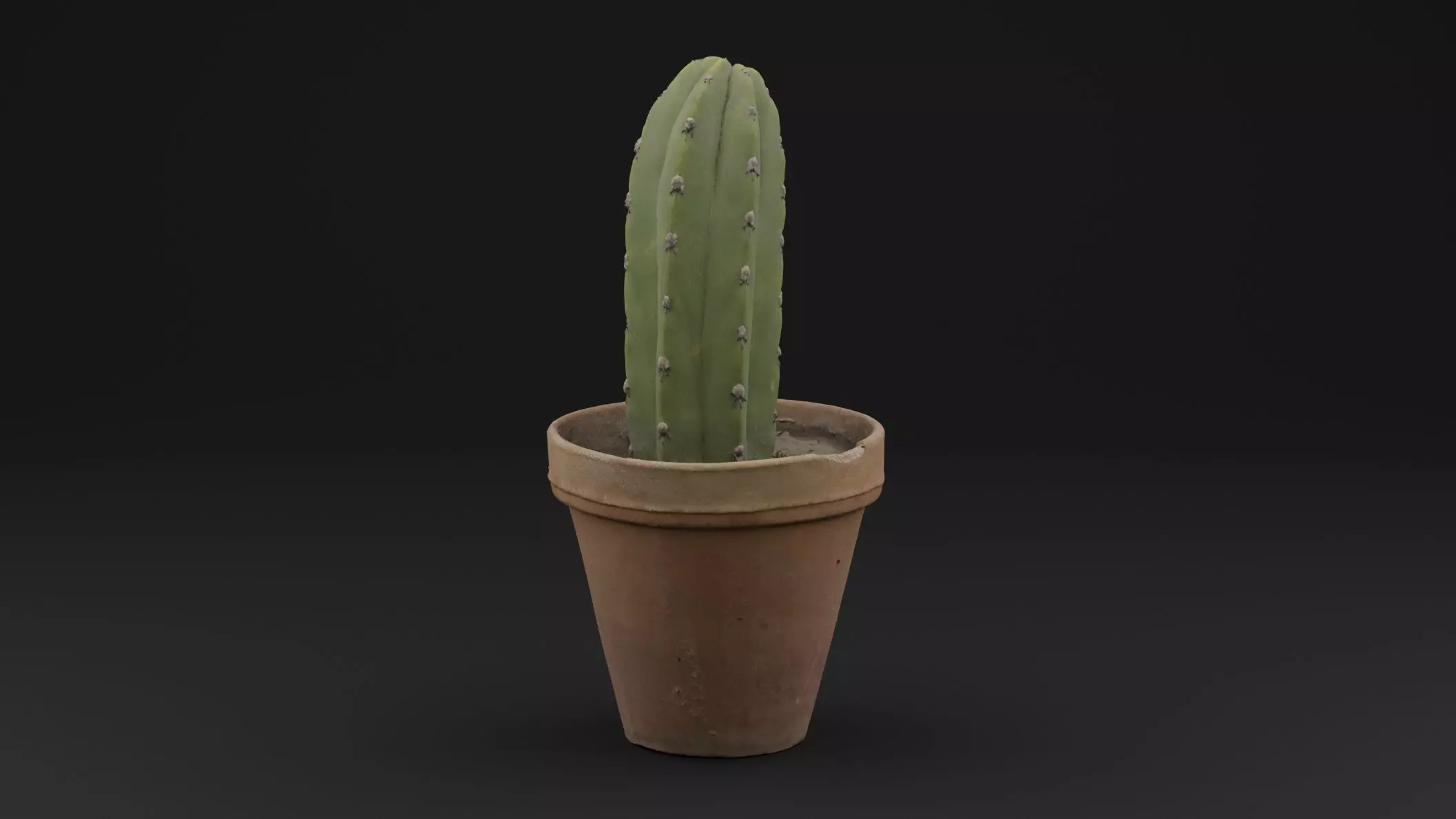 Cactus Pot 3D model_0