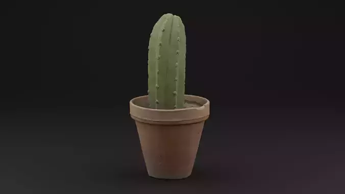 Cactus Pot