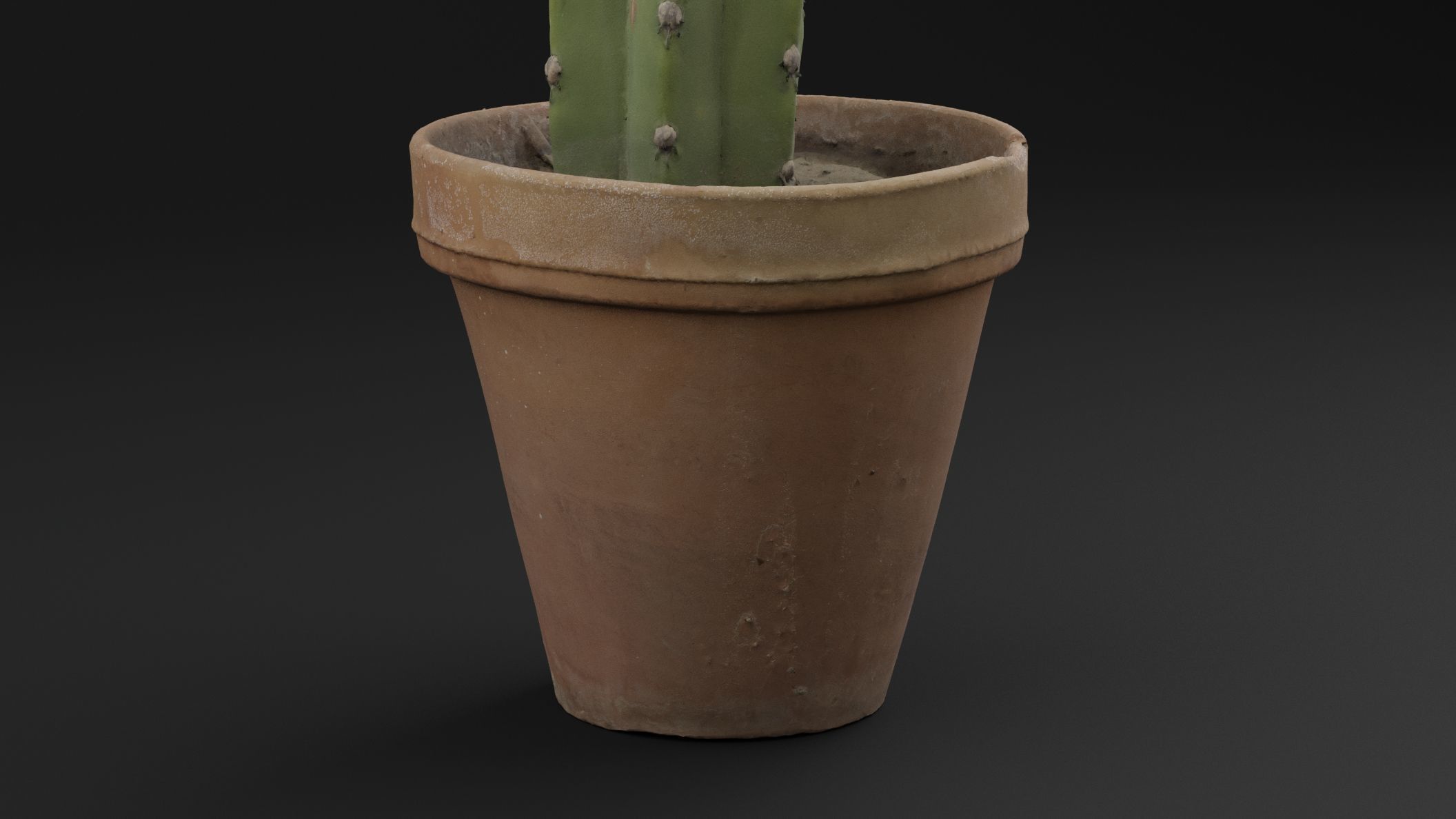 Cactus Pot 3D model_2