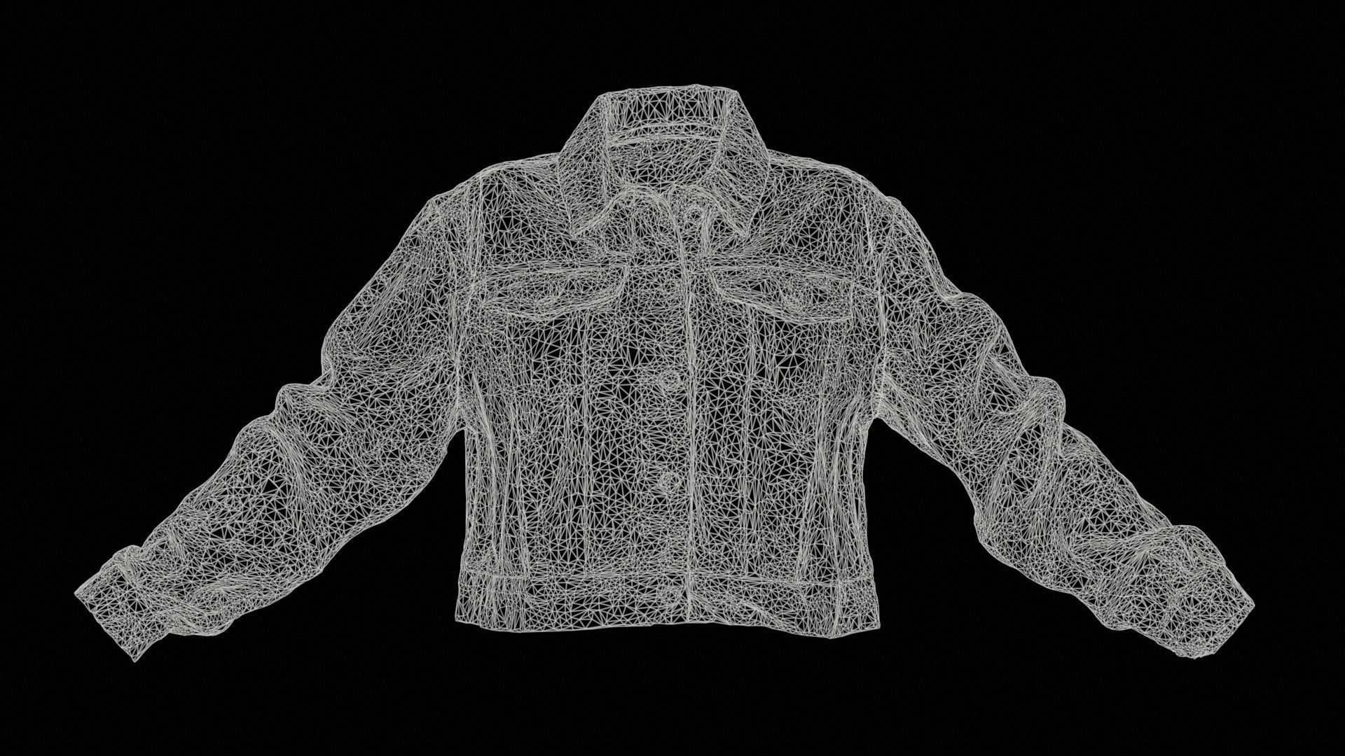 Grey Checkered Jacket Low-poly 3D model_11