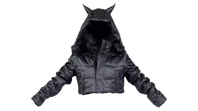 Pointy Ears Vinyl Hoodie Low-poly 3D model