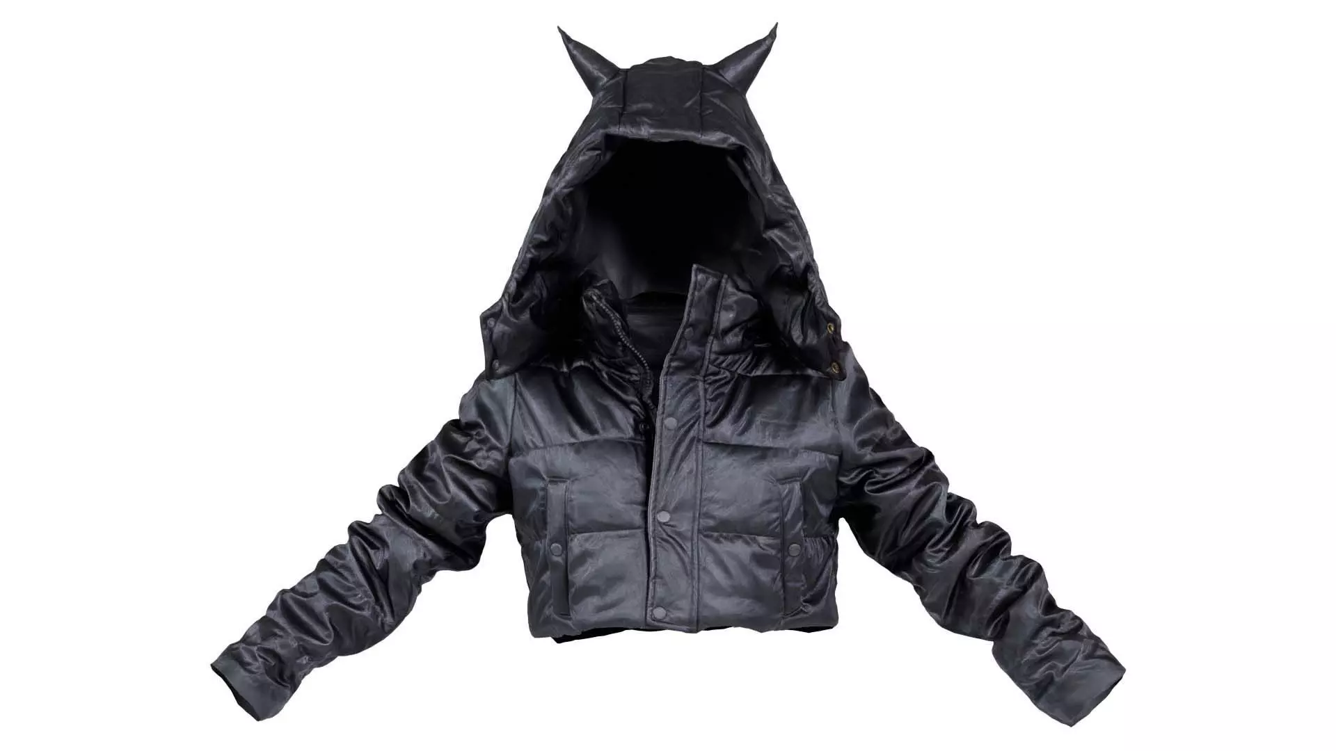 Pointy Ears Vinyl Hoodie Low-poly 3D model