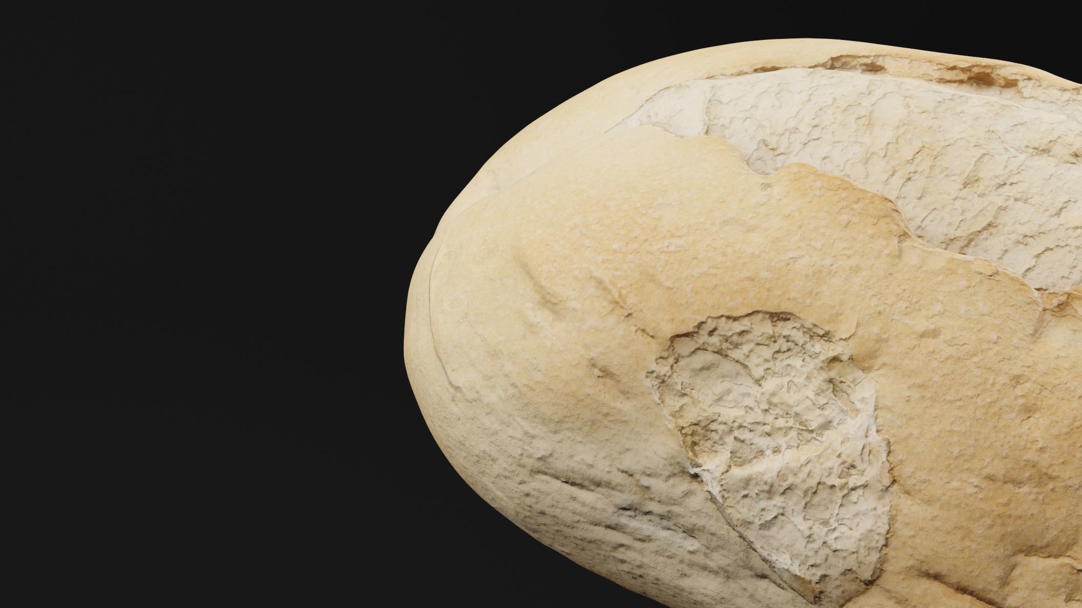 Realistic Bread 3D model_2