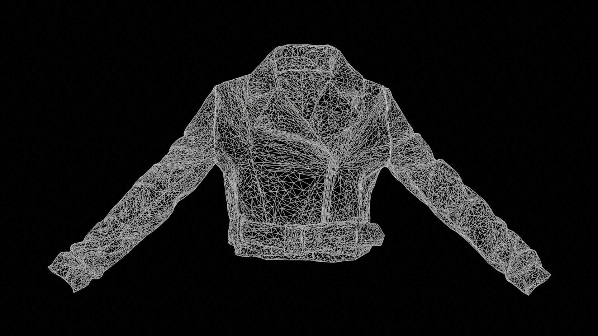 Shiny Tiger Jacket Low-poly 3D model_11