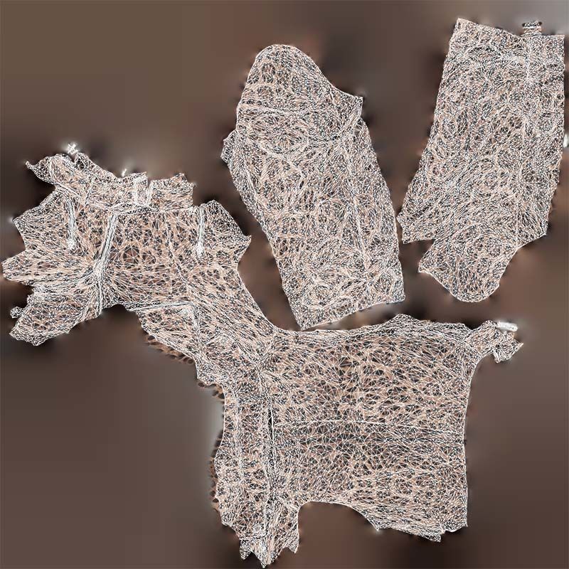 Shiny Tiger Jacket Low-poly 3D model_14