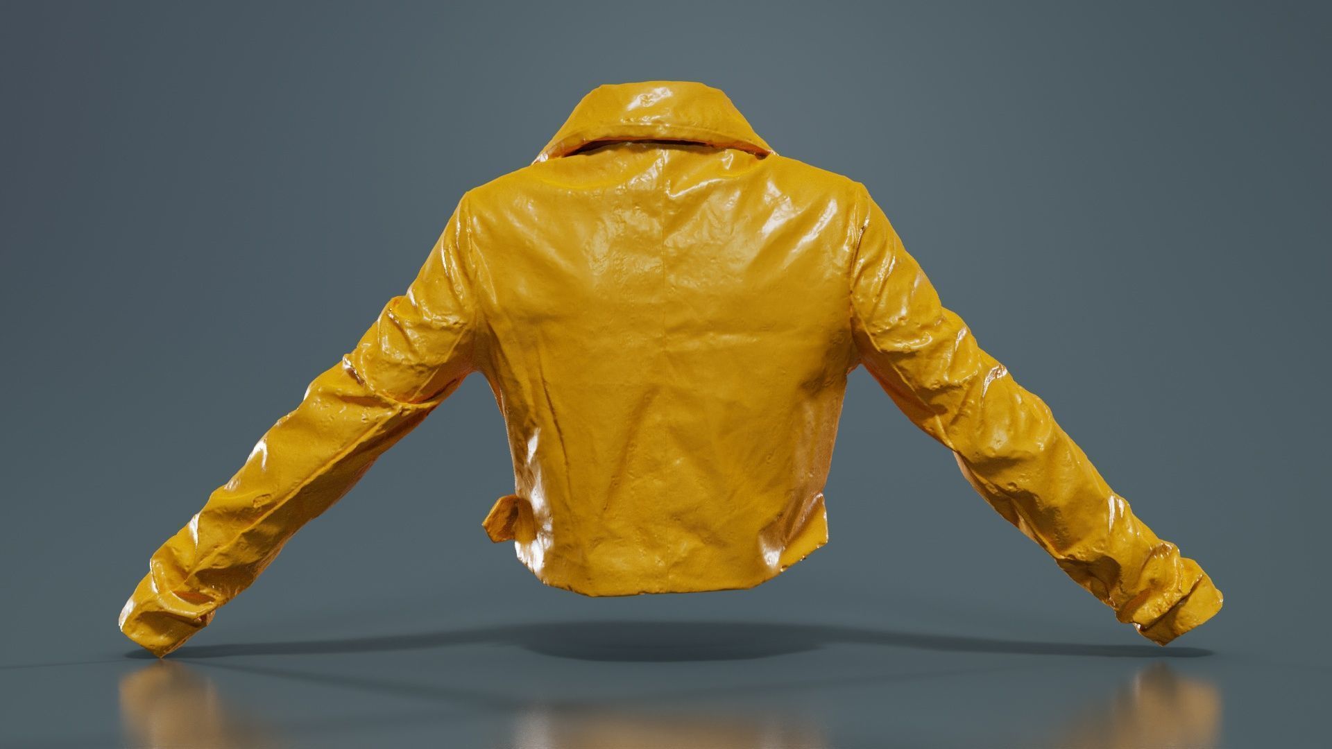 Shiny Tiger Jacket Low-poly 3D model_13