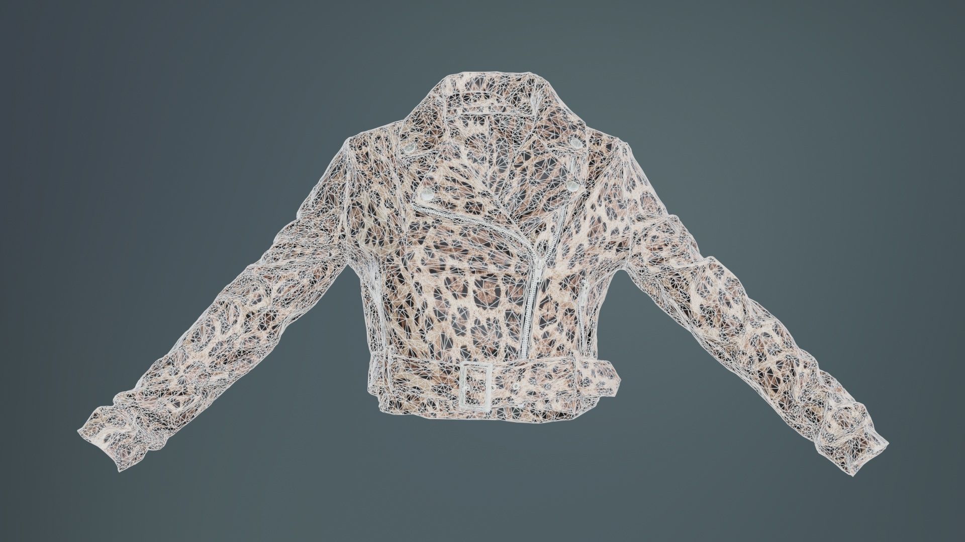 Shiny Tiger Jacket Low-poly 3D model_9
