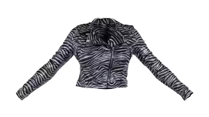 Silver Zebra Jacket