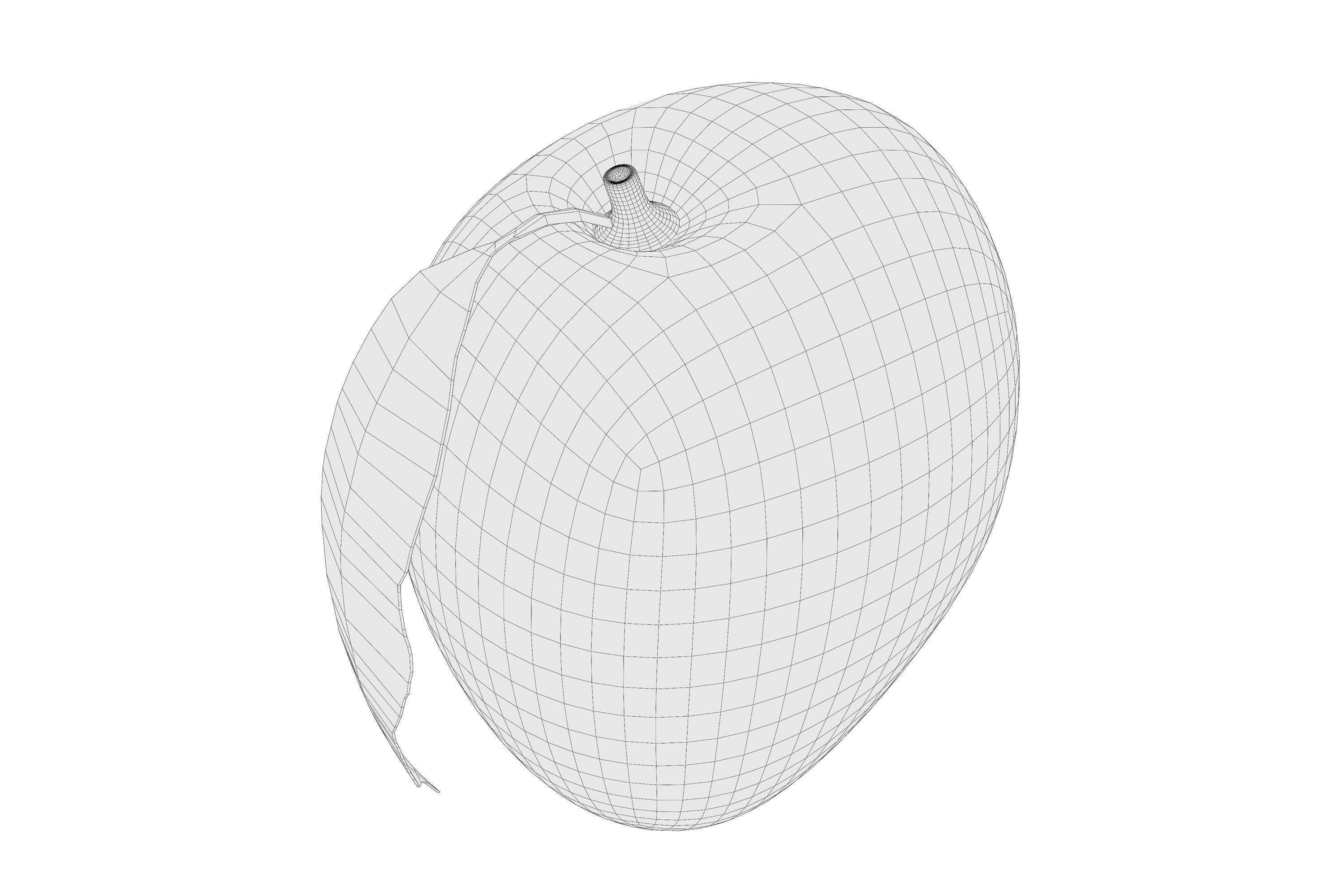 Mango 01 3D model_8