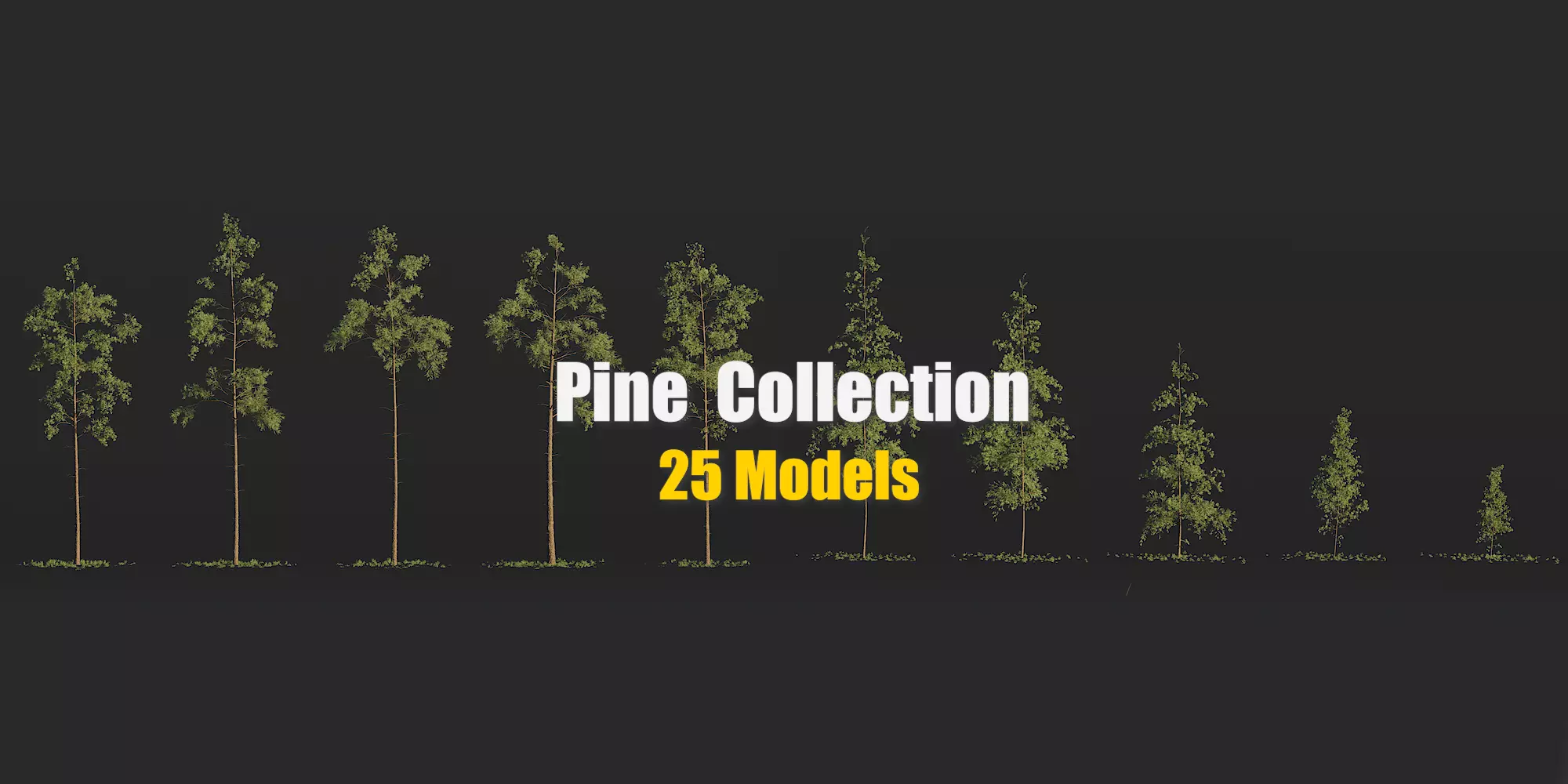 25 Pine 3D Models 3D model