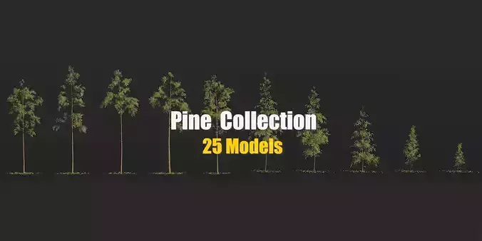 25 Pine 3D Models