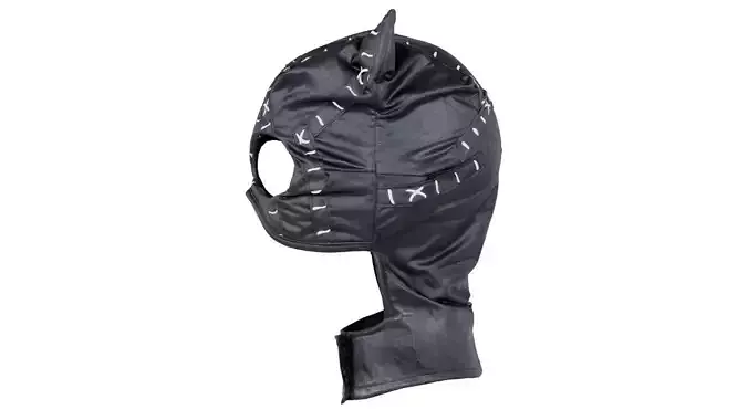 Catwoman Mask Low-poly 3D model