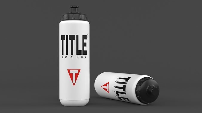 Water Bottle 3D model