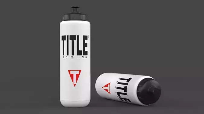 Water Bottle 3D model