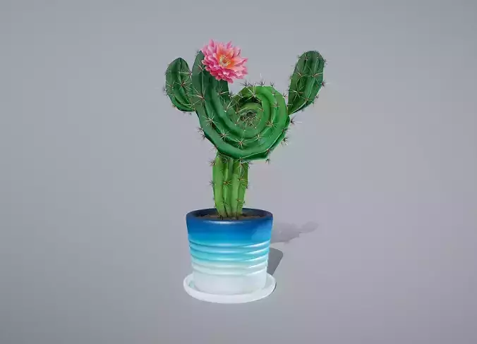 Flowering Cactus in Pot
