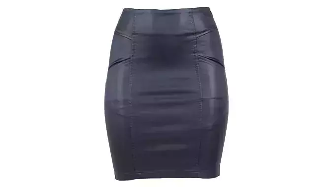 Leather Panel Pencil Skirt